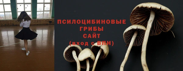 стаф Горно-Алтайск